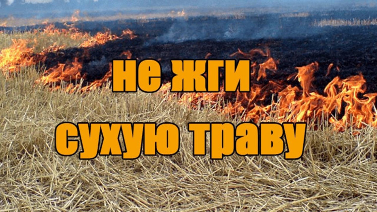 Не сжигайте свое будущее!. Не сжигайте свое будущее!.